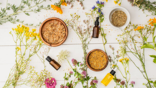 Herbal medicine, holistic health and wellness, herbal supplements, natural remedies, herbal extracts, immune-boosting herbs, phytonutrients, plant nutrients, polyphenols, anthocyanins, traditional herbal remedies, botanical supplements, herbal teas for wellness, adaptogenic herbs, medicinal plants, plant-based healing, herbal tinctures, herbal infusions, plant-based wellness, therapeutic botanicals, healing herbs, natural health solutions, herbal anti-inflammatory compounds, superfood herbs, Ayurvedic herbal medicine, herbal stress relievers, digestive support herbs, detoxifying herbs, antioxidant-rich herbs, custom herbal blends, herbal skincare solutions, naturopathic herbal therapy, herbal energy boosters.